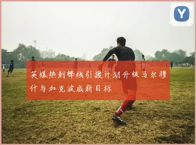 英媒热刺锋线引援计划升级马尔穆什与加克波成新目标